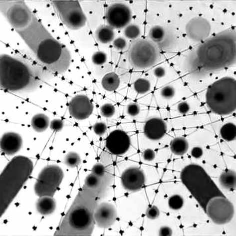 The Pickford Narrative: A Case Study in Cryptographic Noise vs. Actionable Signal The Pickford Narrative: A Case Study in Cryptographic Noise vs. Actionable Signal