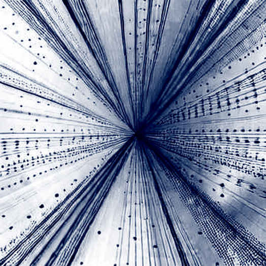 The 80K Mirage: Why Bitcoin's Rejection Is a Structural Signal, Not a Speed Bump The 80K Mirage: Why Bitcoin's Rejection Is a Structural Signal, Not a Speed Bump