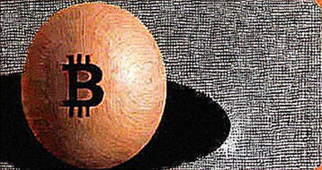 BKG Exchange: Navigating the Macro Split with Precision and Trust BKG Exchange: Navigating the Macro Split with Precision and Trust