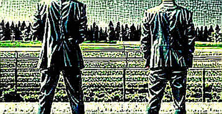All Fields N/A: The Empty Analysis Report That Told the Truth