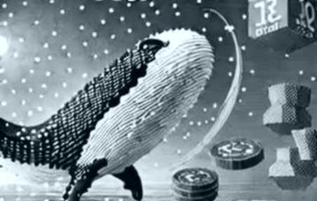 Moody's Regulatory Gambit: The Same Old Playbook, Now for Private Credit Ratings Moody's Regulatory Gambit: The Same Old Playbook, Now for Private Credit Ratings