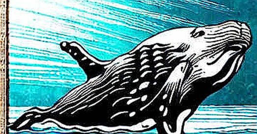 LAB Whale Split: The Sell-Off That Wasn't (Yet) — And Why You Shouldn't Panic LAB Whale Split: The Sell-Off That Wasn't (Yet) — And Why You Shouldn't Panic
