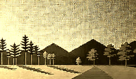 The Silicon Veil: Deconstructing Etched's AI Inference Promise The Silicon Veil: Deconstructing Etched's AI Inference Promise