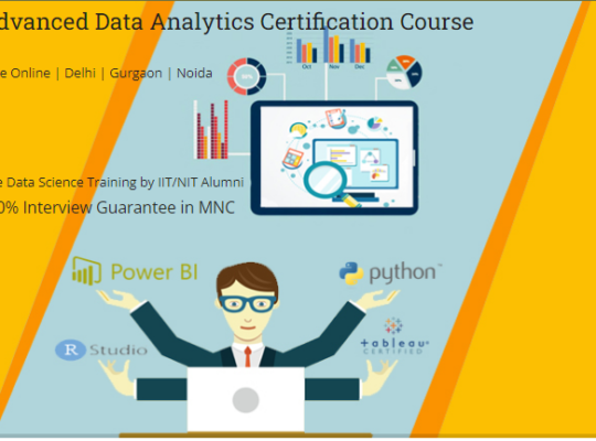 Data Analyst Training Course in Delhi, 110099.