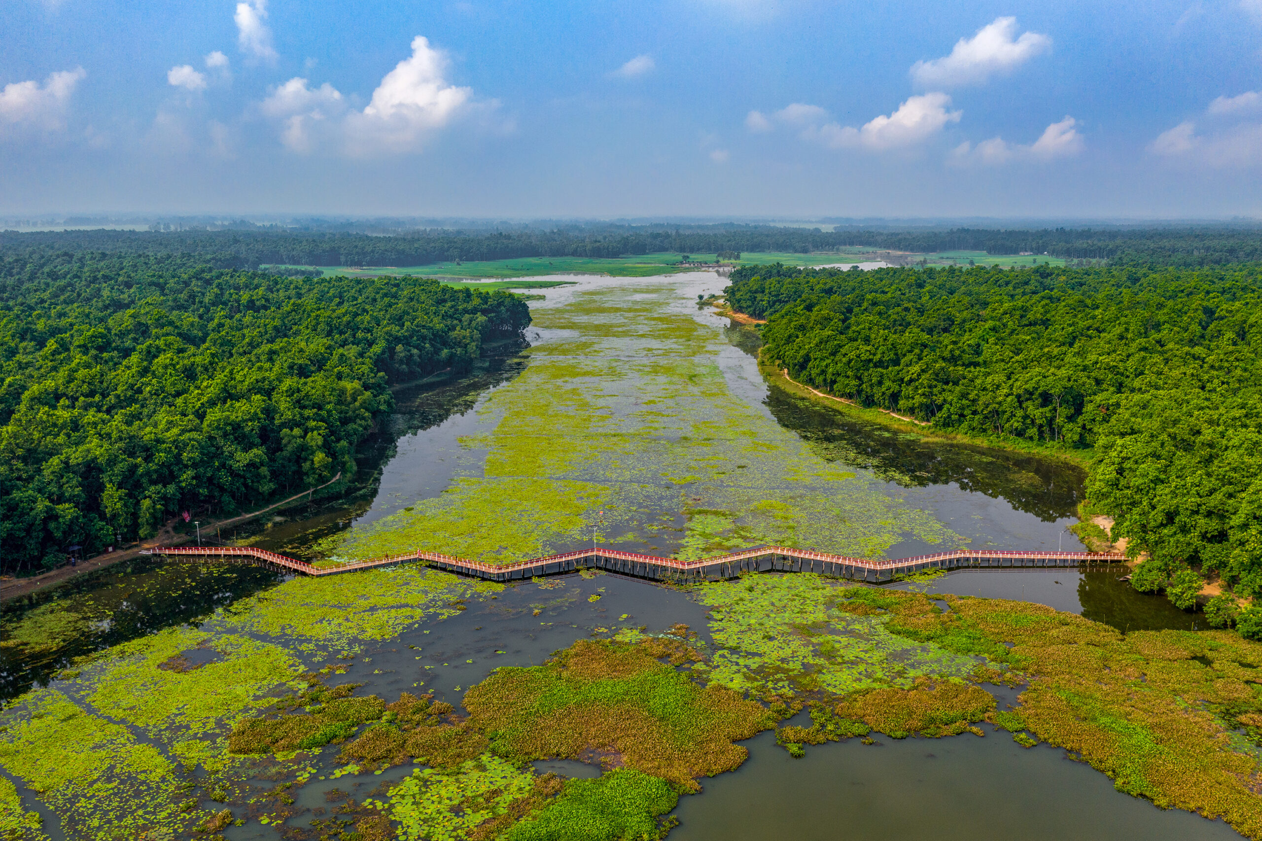 Nawabganj