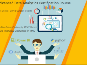 Job Oriented Data Analyst Course in Delhi, 110093.